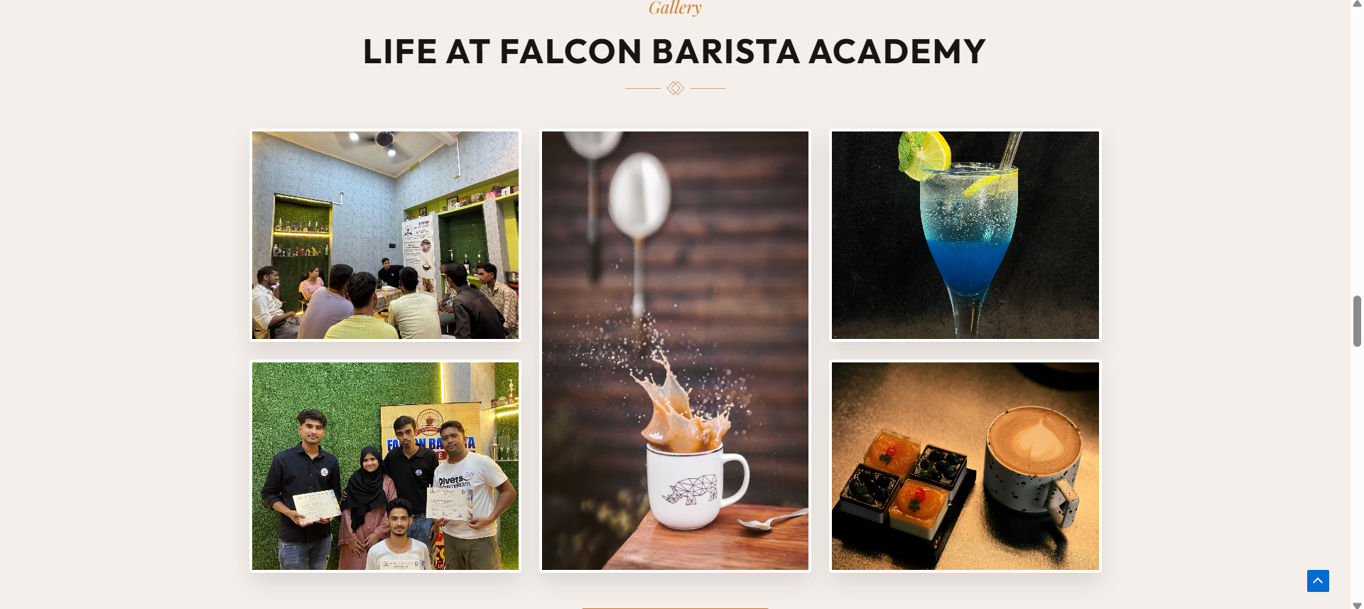 Falcon Barista Desktop Website